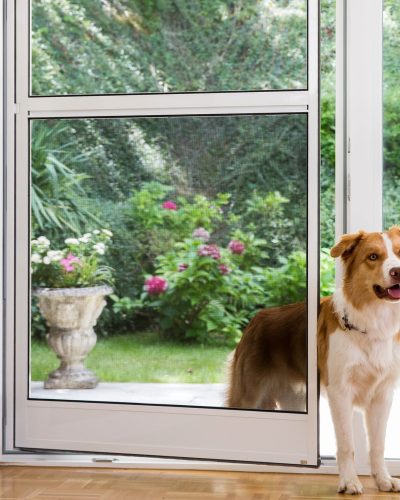 imgi_4_Bild_Produkt_Pendeltüre_2_crop